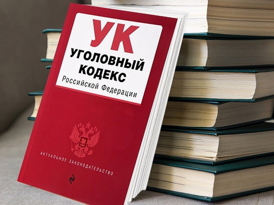 Уголовный закон уголовного кодекса РФ: основные положения и принципы